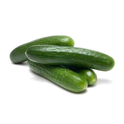 Persian Baby Cucumber 1kg